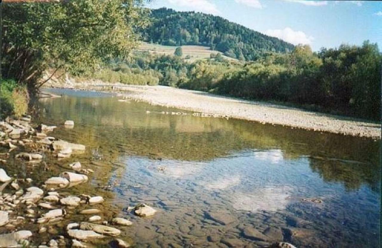 Willa Swit Makow Podhalanski Esterno foto
